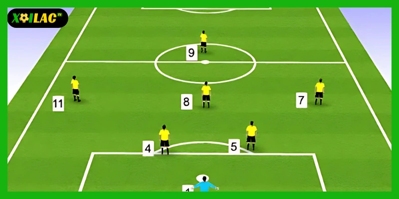 Phân tích chuyên gia và tài liệu chính thức khi xem trực tiếp bóng đá