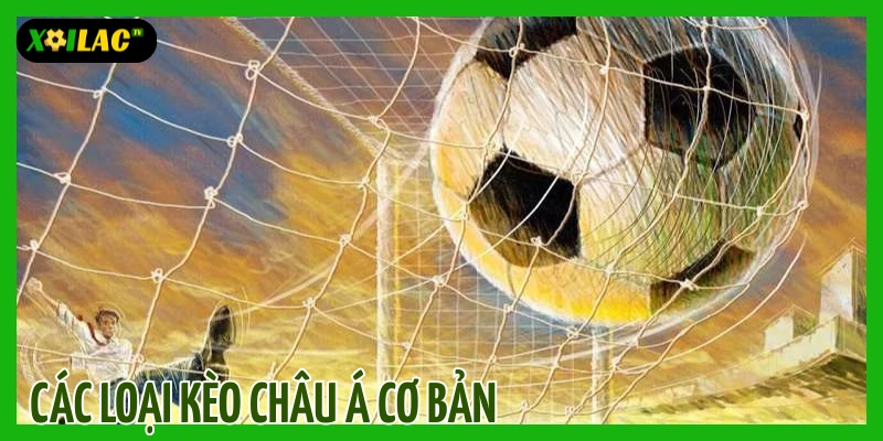 Các loại kèo châu Á cơ bản người chơi cần biết